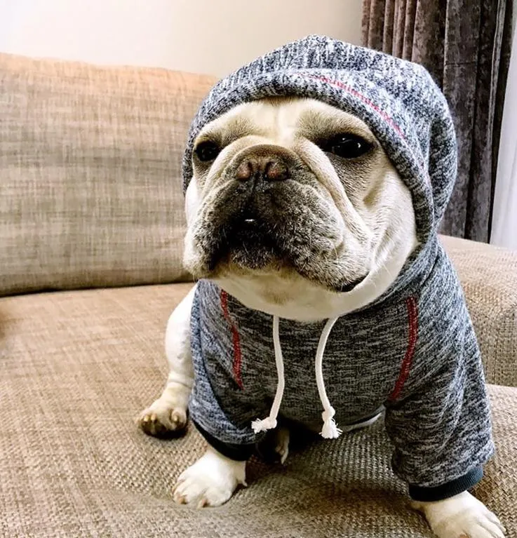 Athleisure Drawstring Hoodie