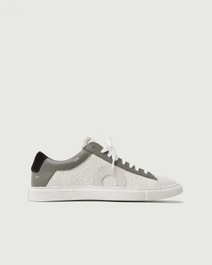 Low 1 | Stingray (Orthopedic)